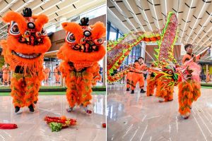 lion & dance performance