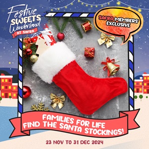 FFL find the santa stocking