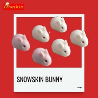 SnowSkin Bunny 200x200